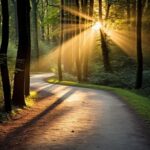 Jesus’ Divinity article thumbnail