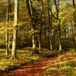 The Sabbath and its Meaning article thumbnail